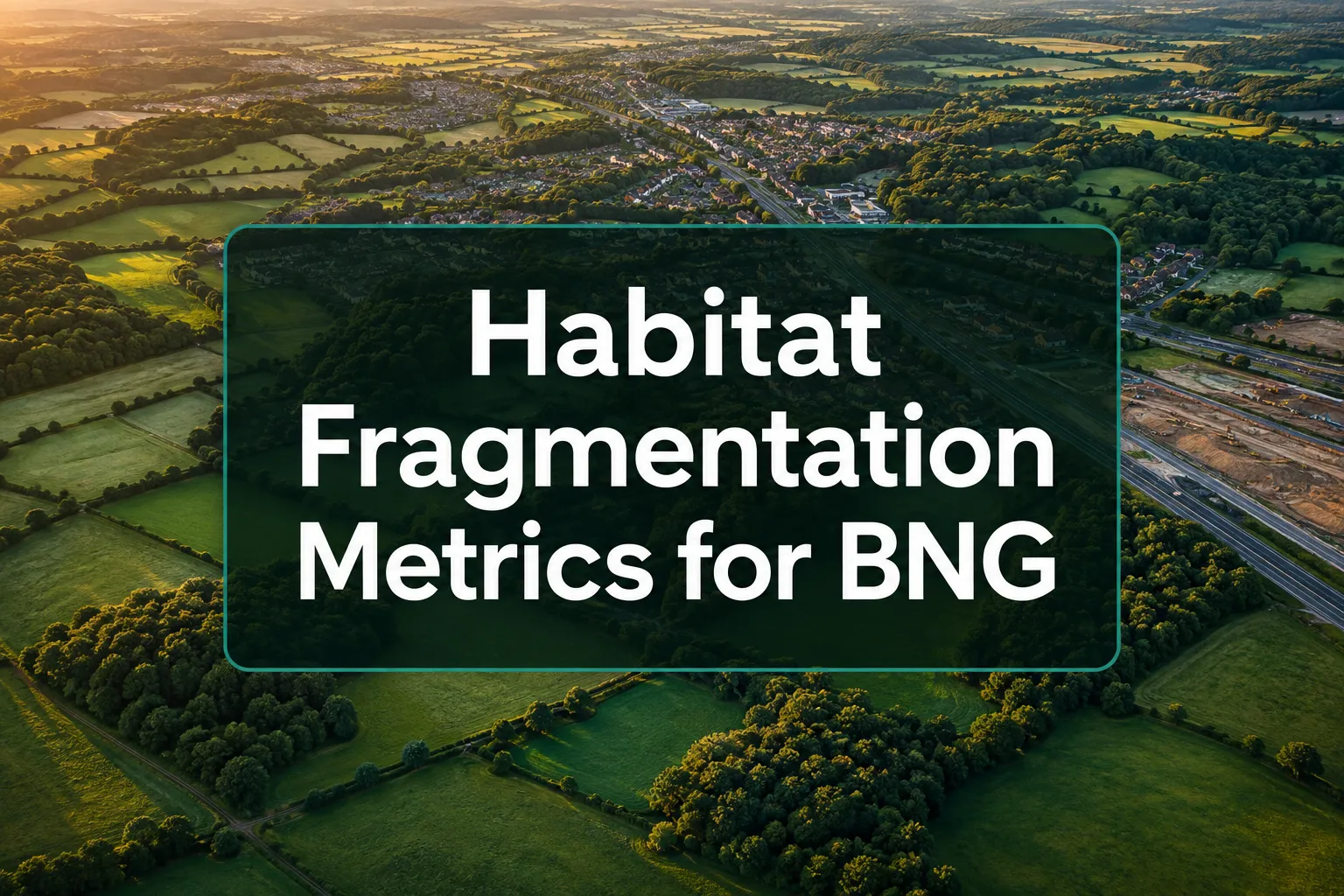 Habitat Fragmentation Metrics for BNG Baselines: Advanced Survey Techniques for Fragmented Landscapes